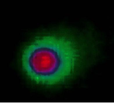 Publicación del e-book: Misterios de la Astrofísica: La perturbación de Sagitario. G 1.9+0.3. La falsa Supernova y la búsqueda de Nibiru.  Elenincore02