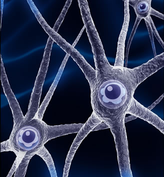 Los pensamientos negativos y la denominada”peste” de las neuronas:Reflexiones sobre la cuestión. Neuronas
